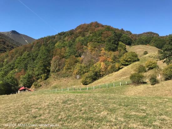 Terreno en Dobres- Ranes, Vega de Liébana. - CANTABRIA