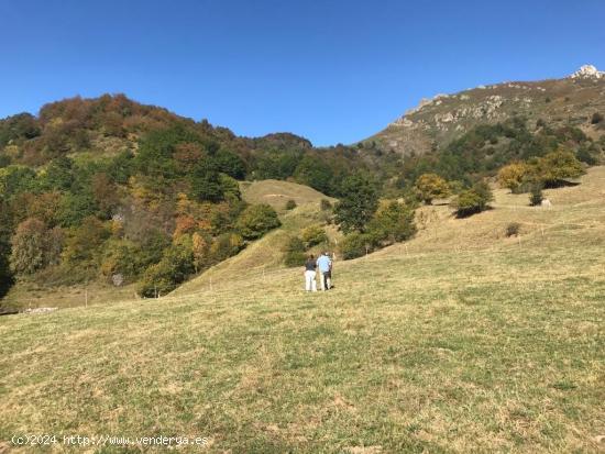 Terreno en Dobres- Ranes, Vega de Liébana. - CANTABRIA