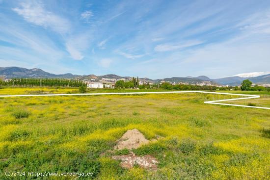 FINCA RUSTICA EN GRANADA CAPITAL  DE 14500M2, JUNTO A CLUB DE CAMPO - GRANADA