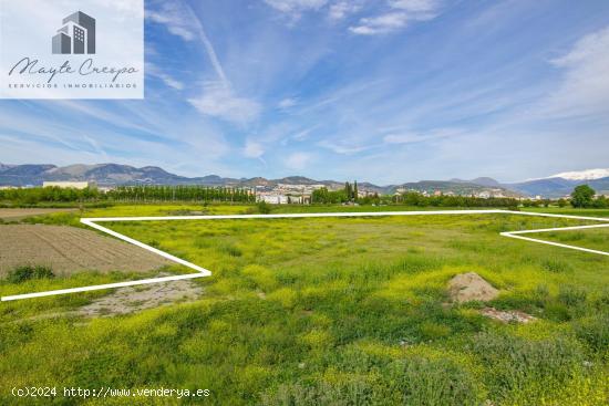 FINCA RUSTICA EN GRANADA CAPITAL  DE 14500M2, - GRANADA