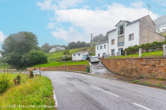 CASONA DE PIEDRA CON PARCELA Y CON SERVICIOS A PIE - ASTURIAS