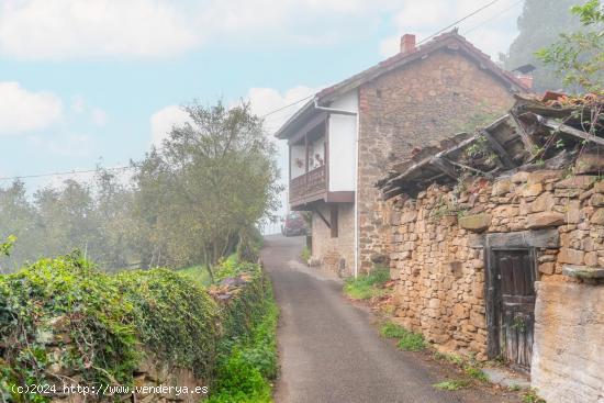 UNA JOYA EN PLENA NATURALEZA - ASTURIAS