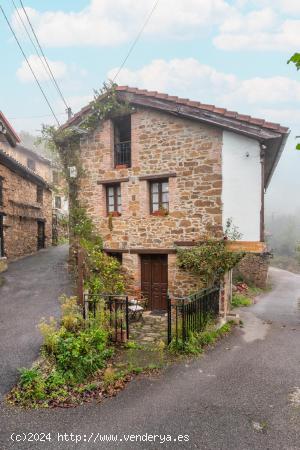 UNA JOYA EN PLENA NATURALEZA - ASTURIAS