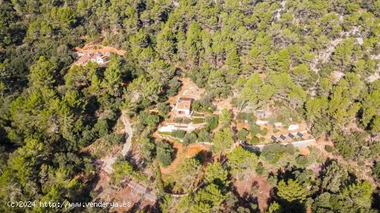 Finca Rustica en la Sierra de Tramuntana en venta - BALEARES