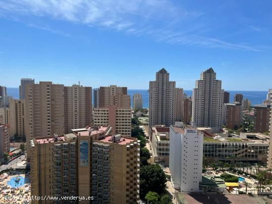  Se Vende en Benidorm - ALICANTE 