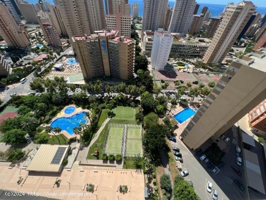 Se Vende en Benidorm - ALICANTE