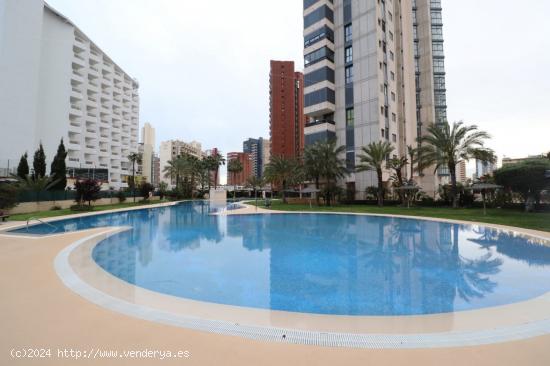 APARTAMENTO PLAYA DE LEVANTE - ALICANTE