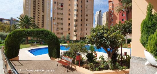 OPORTUNIDAD ÁTICO EN BENIDORM!! CENTRO LEVANTE - ALICANTE