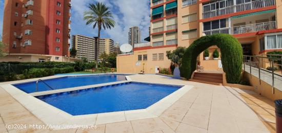 OPORTUNIDAD ÁTICO EN BENIDORM!! CENTRO LEVANTE - ALICANTE