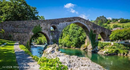 VENTA DE HOTEL CERCA DE COVADONGA - ASTURIAS