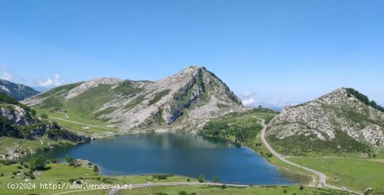 VENTA DE APARTAMENTOS TURÍSTICOS - ASTURIAS