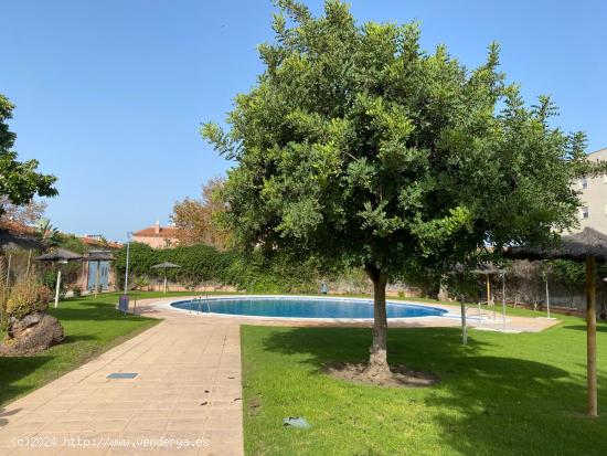  COQUETO APARTAMENTO EN ZONA LA CAPILLITA - CADIZ 