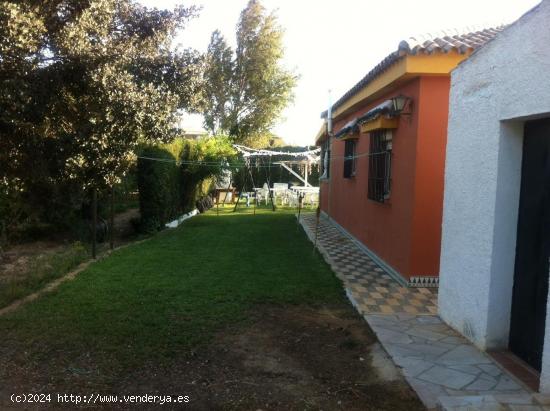 FINCA CON CHALET Y PISCINA , ZONA DEL MARQUESADO - CADIZ