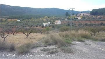  Se Vende en Cehegin - MURCIA 