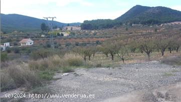 Se Vende en Cehegin - MURCIA