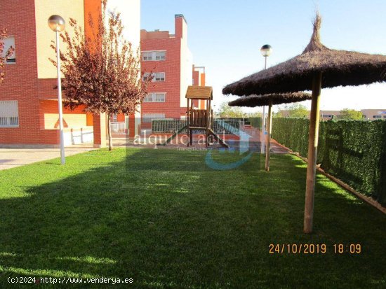 PRECIOSA VIVIENDA EN LA MEJOR ZONA DE TORREJON DE ARDOZ