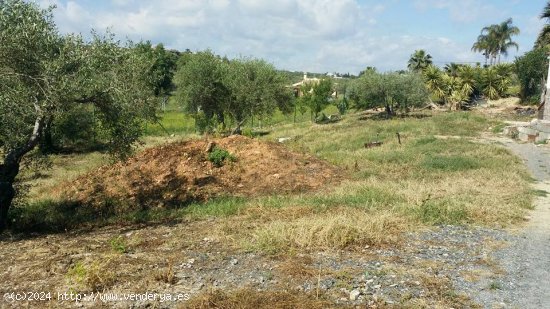 Gran parcela con una casita la cual se puede ampliar