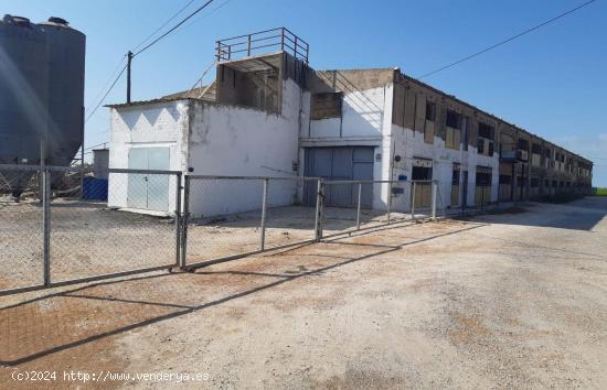 GRANJA DE 2 PLANTAS, CADA UNA DE 800 M2 - TARRAGONA