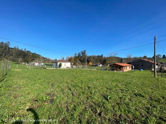 TERRENO URBANO EN VALDÁLIGA - CANTABRIA