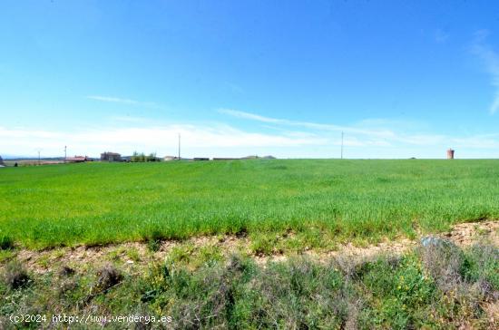 Urbis te ofrece unas estupendas parcelas en venta en Terradillos, Salamanca. - SALAMANCA