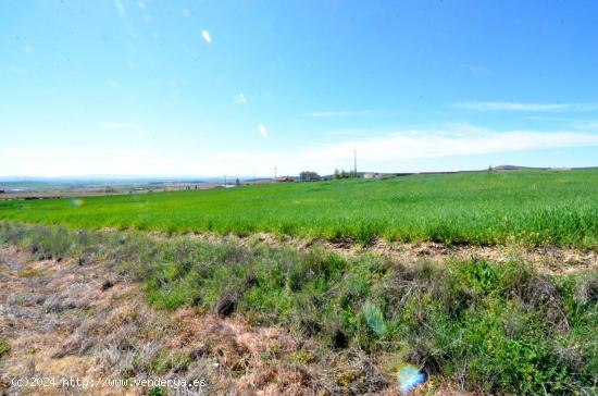 Urbis te ofrece unas estupendas parcelas en venta en Terradillos, Salamanca. - SALAMANCA