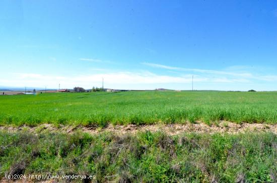 Urbis te ofrece unas estupendas parcelas en venta en Terradillos, Salamanca. - SALAMANCA