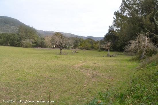 Una pequeña joya en Campanet - BALEARES