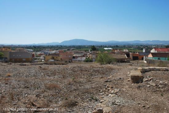 Finca 12.000m con terreno urbanizable - ALICANTE