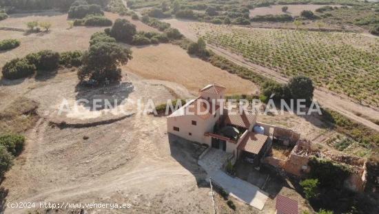 FINCA RÚSTICA EN ALMANSA, DE 100 HECTÁREAS CON CASA UNIFAMILIAR EN PERFECTO ESTADO. - ALBACETE