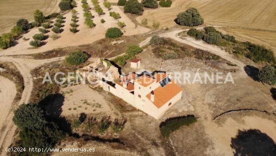 FINCA RÚSTICA EN ALMANSA, DE 100 HECTÁREAS CON CASA UNIFAMILIAR EN PERFECTO ESTADO. - ALBACETE