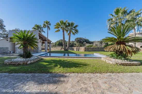 Finca rústica con viñedos en Artà - BALEARES