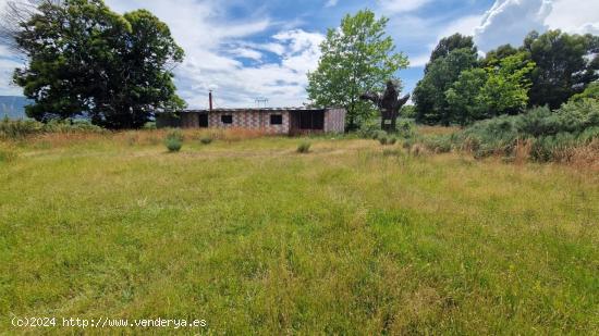 SE VENDE FINCA DE RECREO O GANADERA EN RODANILLO - LEON