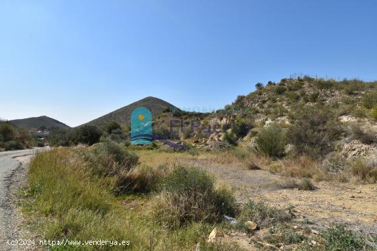 TERRENO EN PARAJE LAS BALSICAS DE MAZARRÓN - REF 2202 - MURCIA