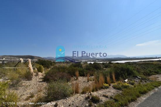 TERRENO EN VENTA CON BALSA DE RIEGO EN MAZARRÓN - REF 2206 - MURCIA