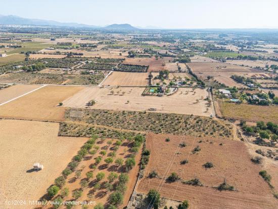 TERRENO EDIFICABLE EN SENCELLES - BALEARES