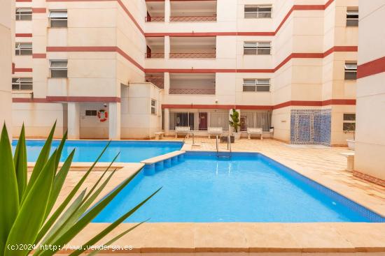 APARTAMENTO DE 1 DORMITORIO 1 BAÑO EN PAQUE DE LAS NACIONES (TORREVIEJA) ALICANTE. - ALICANTE