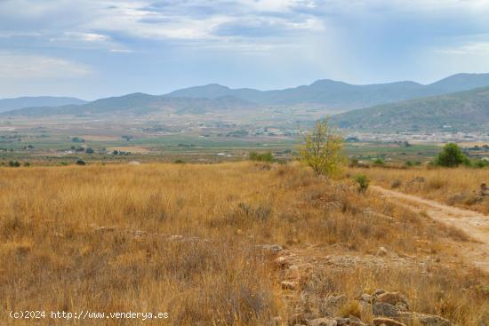 Terreno no urbano en Jumilla - MURCIA