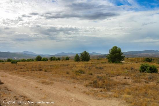 Terreno no urbano en Jumilla - MURCIA