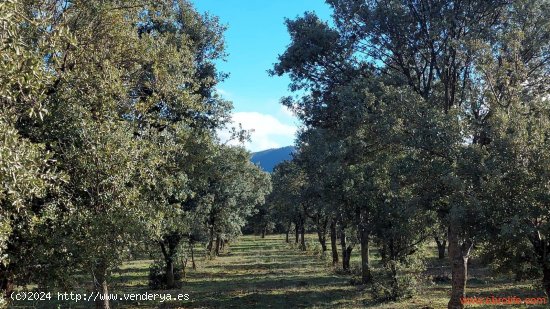 Finca en venta en Monroyo (Teruel)