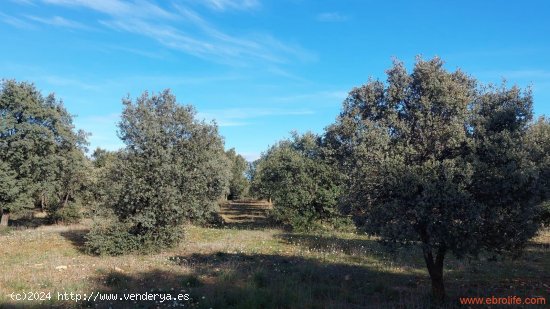 Finca en venta en Monroyo (Teruel)