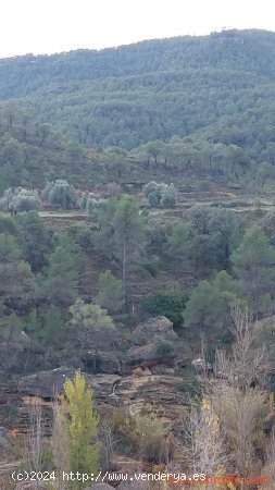 Finca en venta en Valderrobres (Teruel)