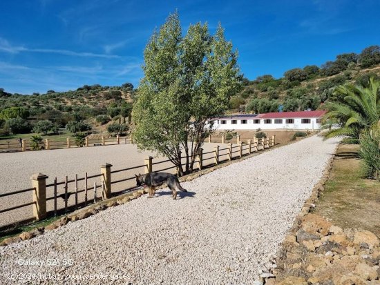 Finca en venta en Málaga (Málaga)