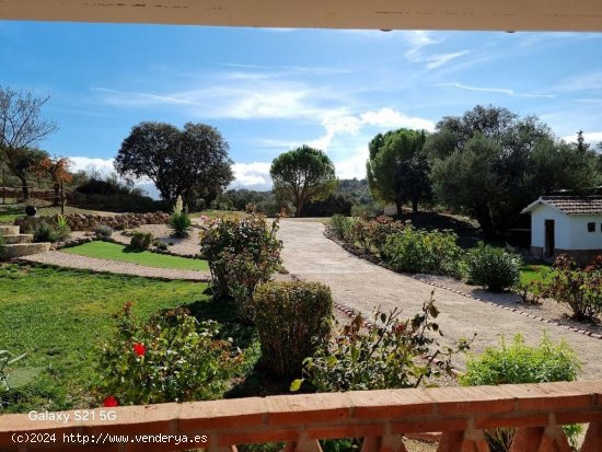 Finca en venta en Málaga (Málaga)