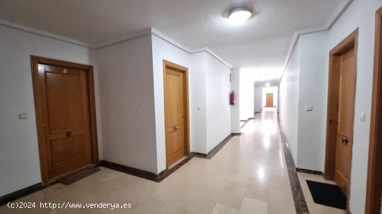 Estudio en venta en Torrevieja (Alicante)