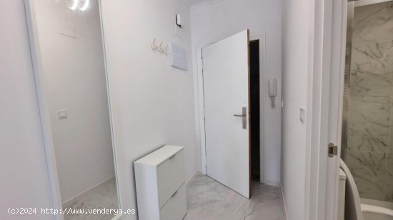 Estudio en venta en Torrevieja (Alicante)