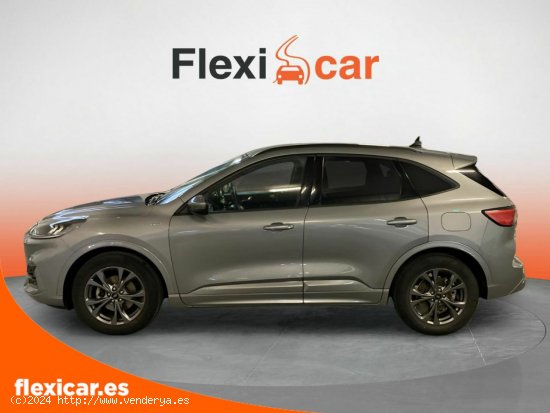 Ford Kuga ST-Line 1.5T EcoBoost 110kW (150CV) - Vizcaya