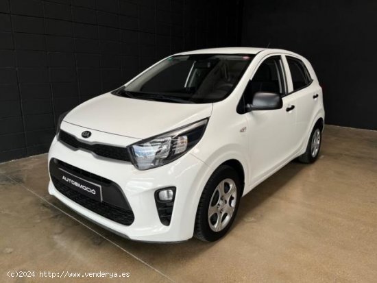  KIA Picanto en venta en Sant Celoni (Barcelona) - Sant Celoni 