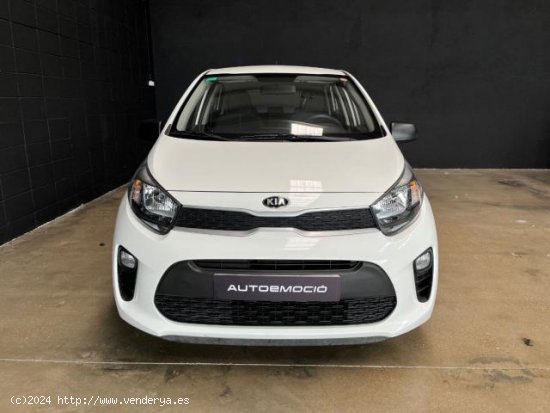 KIA Picanto en venta en Sant Celoni (Barcelona) - Sant Celoni