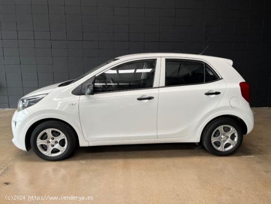 KIA Picanto en venta en Sant Celoni (Barcelona) - Sant Celoni