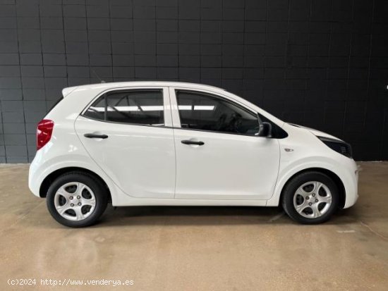 KIA Picanto en venta en Sant Celoni (Barcelona) - Sant Celoni